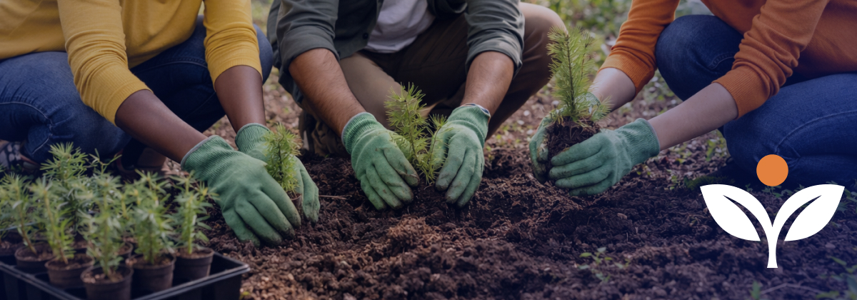 Sustainability