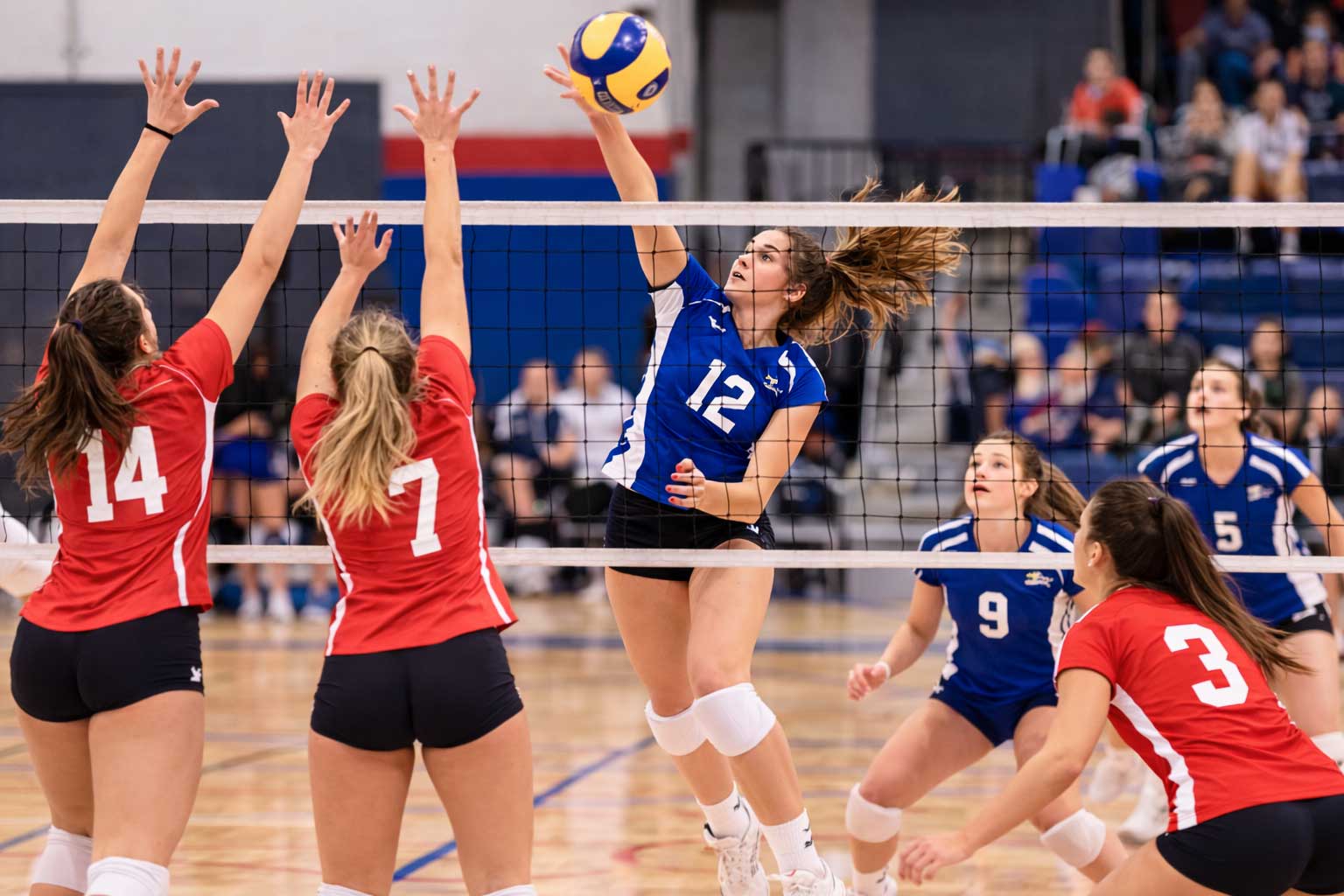 Volley2