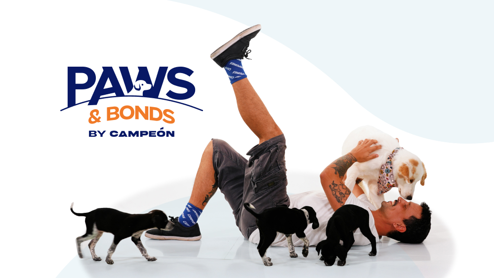 Paws & Bonds New Logo